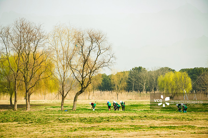 绿野上的团队协作图片素材