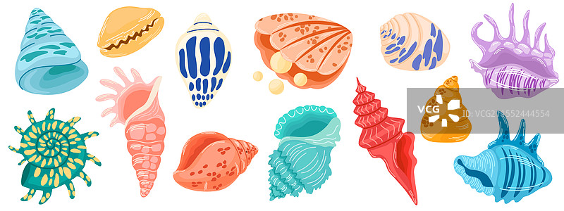 2591 贝壳套装图片素材