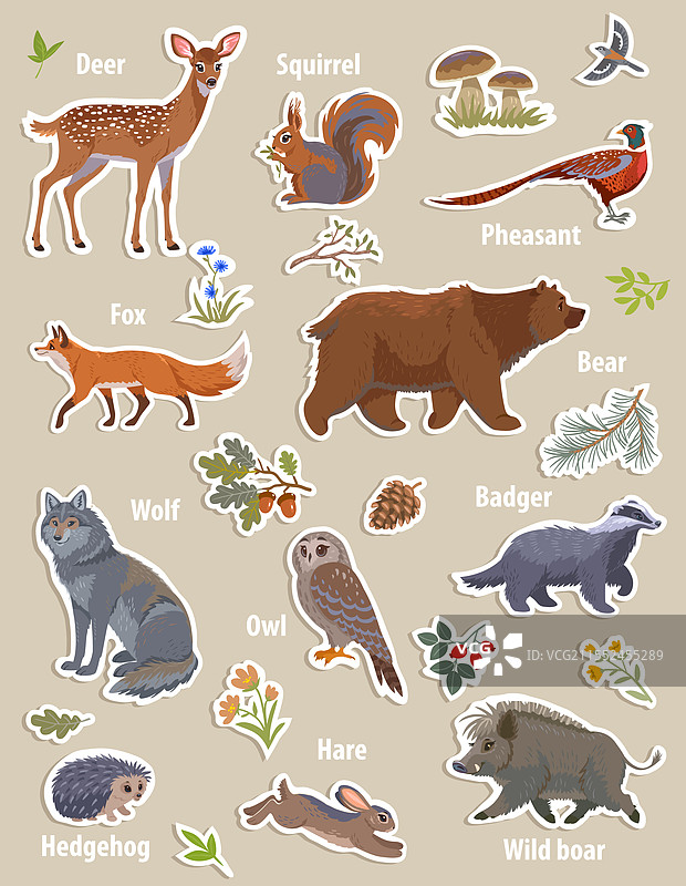 动物贴纸套装图片素材