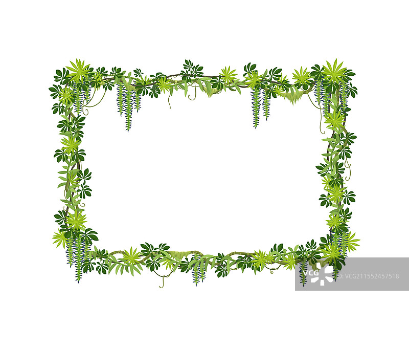 热带丛林森林的藤蔓与绿色叶子的框架图片素材