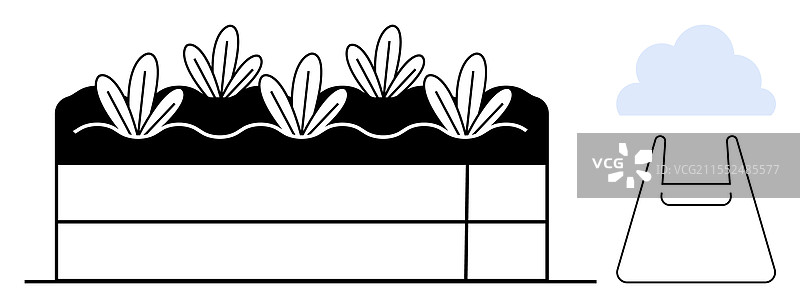 城市花园床上长出的小植物图片素材