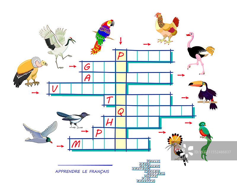 学习法语的填字游戏，配有图片图片素材