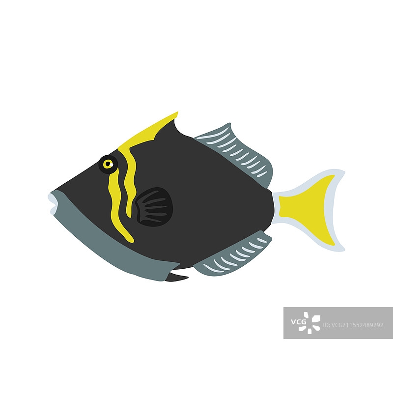 绘制热带鱼图片素材