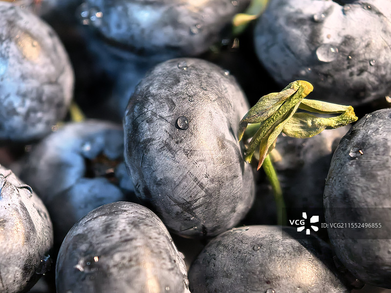蓝莓微距拍摄图片素材