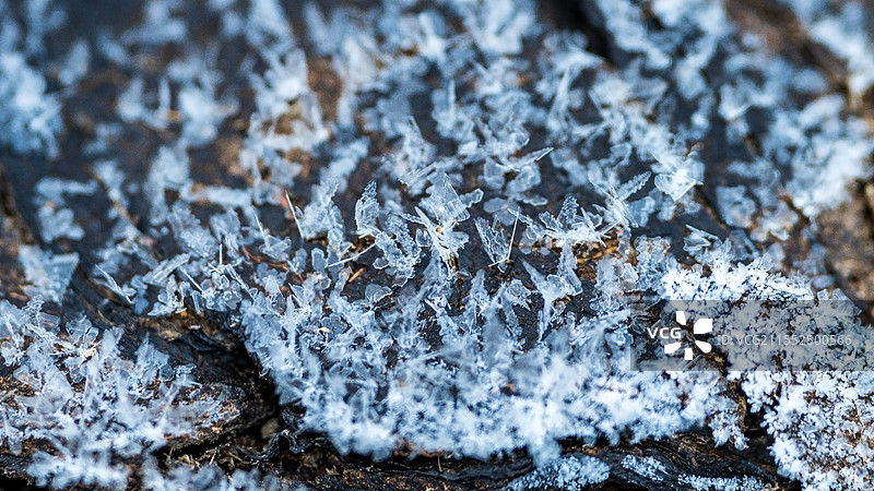 冰花霜花图片素材