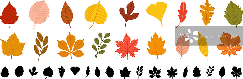秋天落叶的枫树叶图标集合图片素材