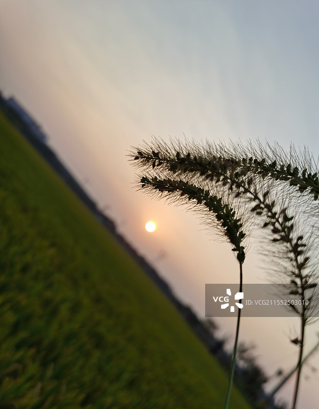 麦田落日图片素材