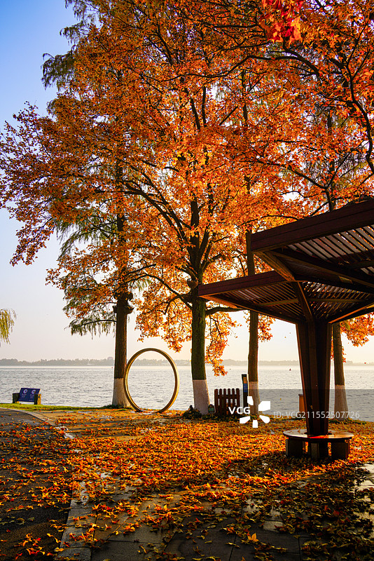 武汉东湖梨园秋景图片素材