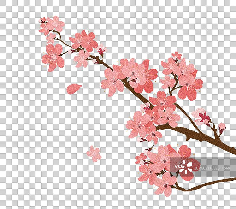 盛开的樱花树元素图片素材