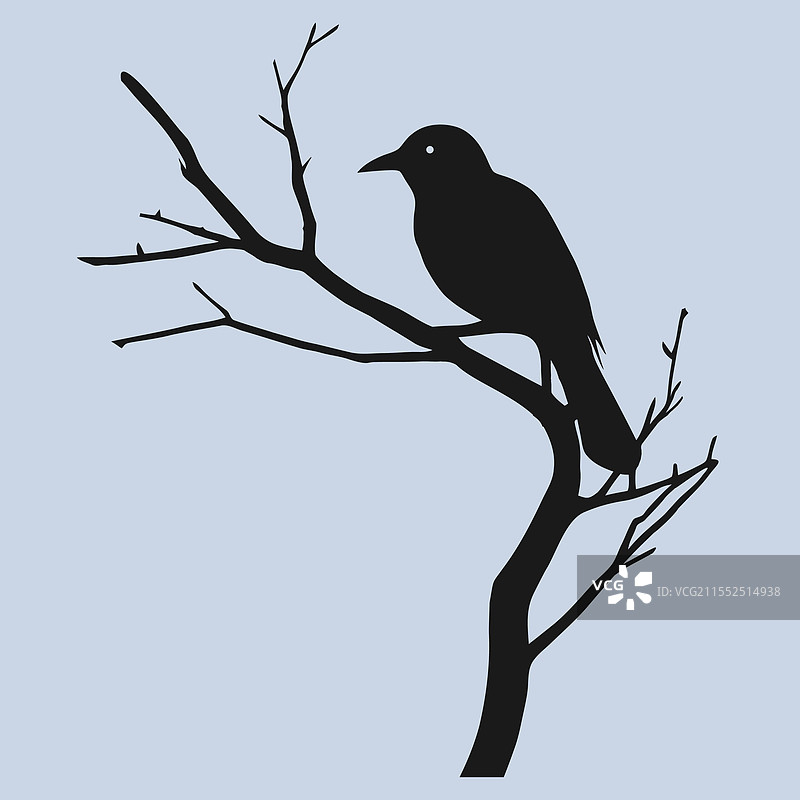 鸟类优雅的剪影图片素材