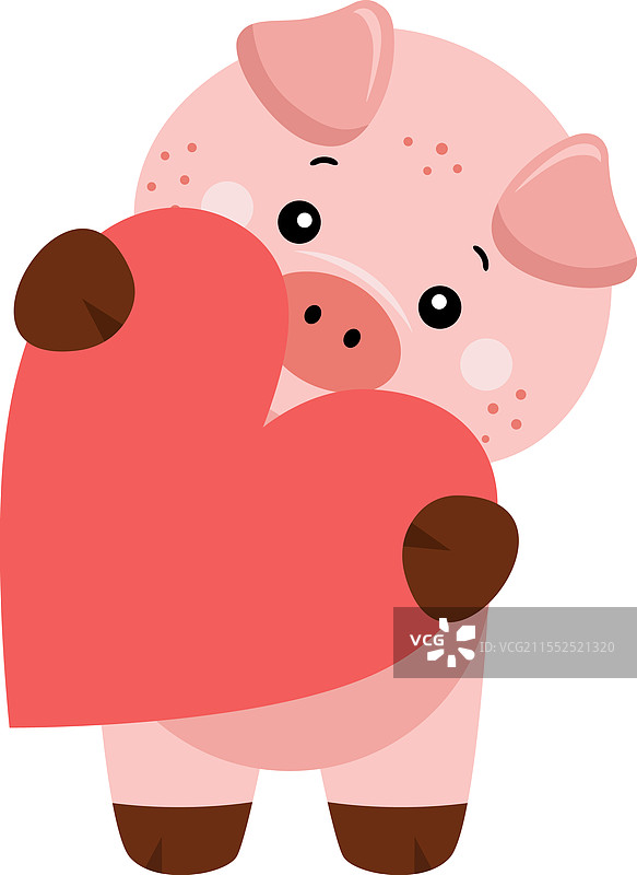 可爱的猪抱着一个红心图片素材