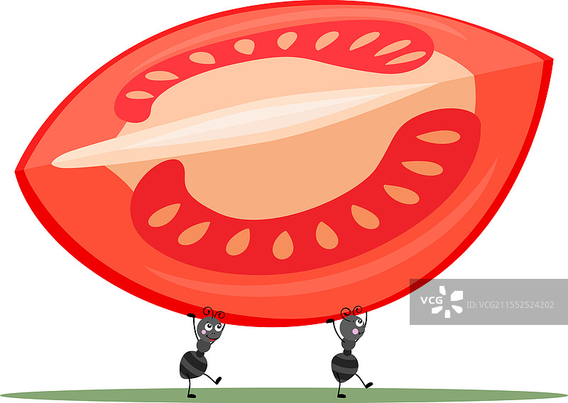 可爱的两只蚂蚁正在搬运一块西红柿。图片素材