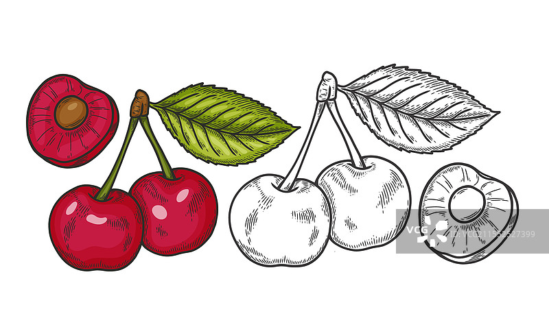 樱桃的雕刻图片素材