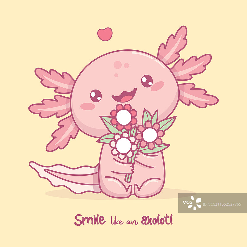 可爱的微笑美西螈手捧花束图片素材