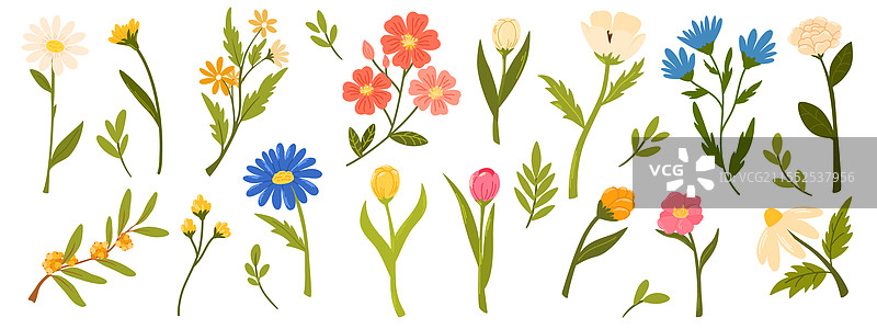 2594 花卉套装图片素材