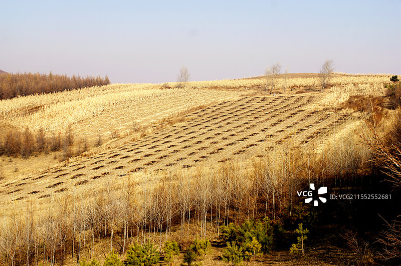 佳木斯卧龙山图片素材