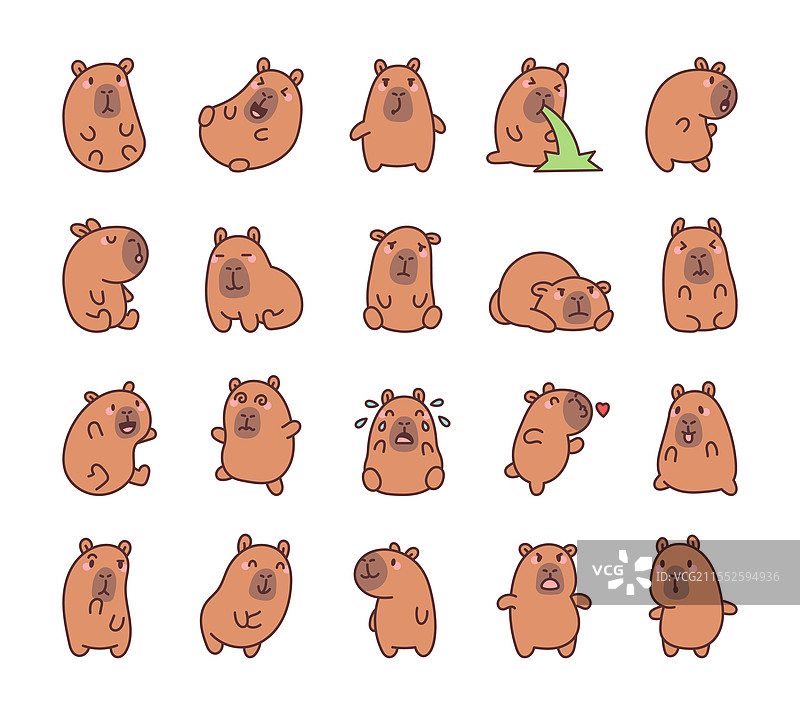 迷人的水豚组合展示了多样性图片素材