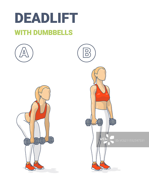 女性哑铃硬拉锻炼指南图片素材