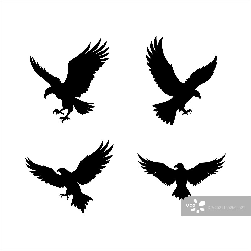 鹰的剪影图片素材