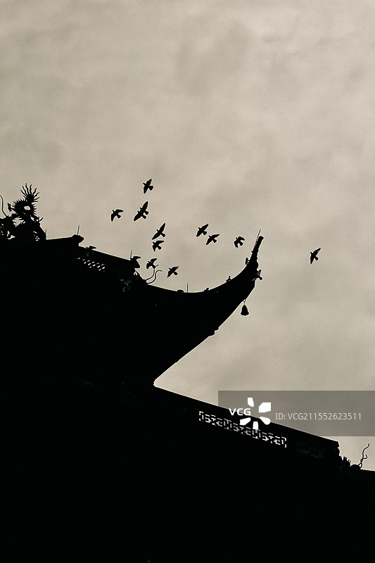 杭州灵隐寺，阴天鸟群与建筑物剪影图片素材