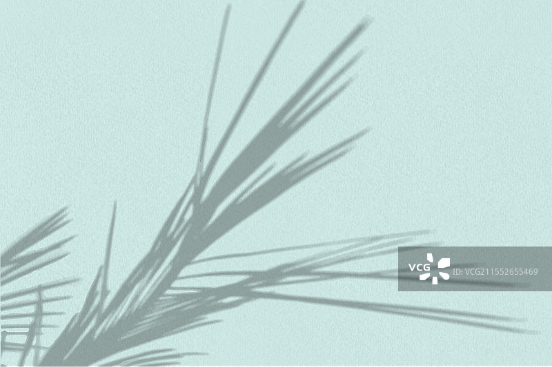 自然光在棕榈树枝上投射出阴影图片素材