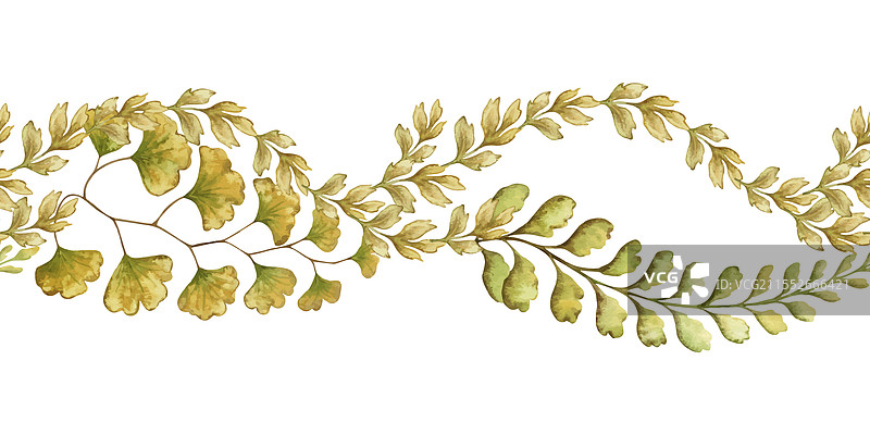 地球上的曲线蕨叶无缝边框图片素材