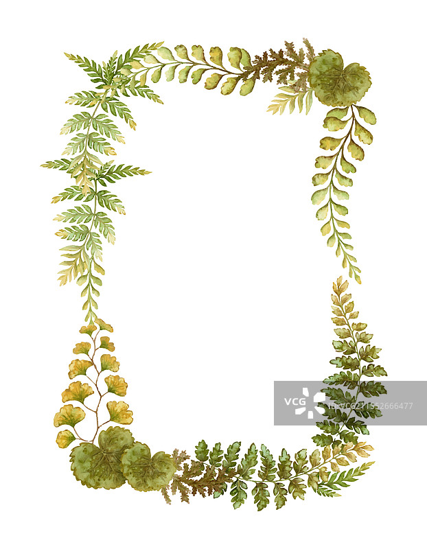 矩形花环与蕨类植物叶子的植物卡片图片素材