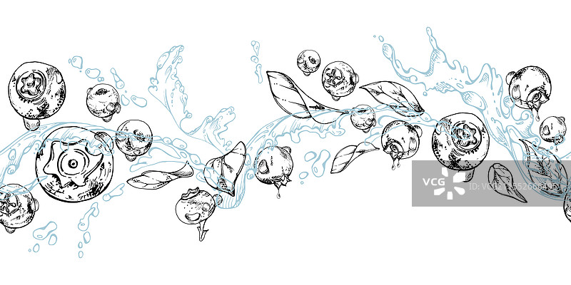 蓝莓和黑莓在水花中飞溅图片素材