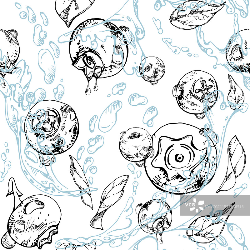 蓝莓和黑莓在水花中飞溅图片素材