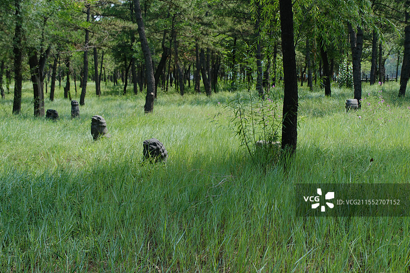 山西大同云冈石窟。绿草地上的雕刻石狮子图片素材