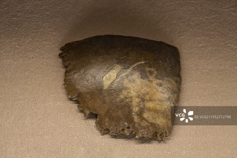 山西博物院“文明摇篮”展：丁村人右顶骨化石（复制品）（距今约10万年，山西省襄汾县丁村遗址出土）图片素材