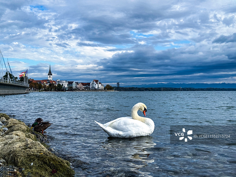 位于瑞士、奥地利和德国三国交界处的博登湖图片素材