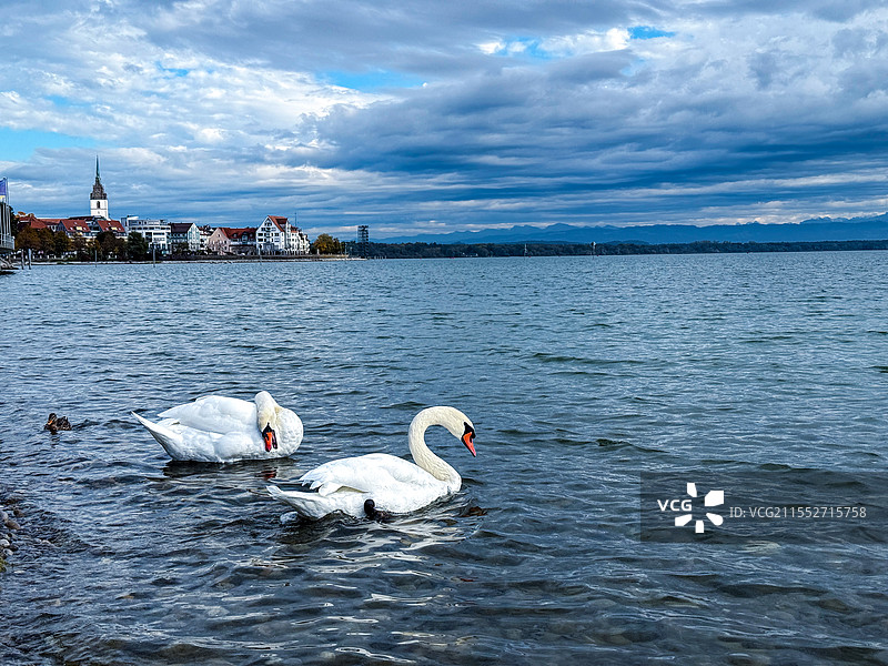 位于瑞士、奥地利和德国三国交界处的博登湖图片素材