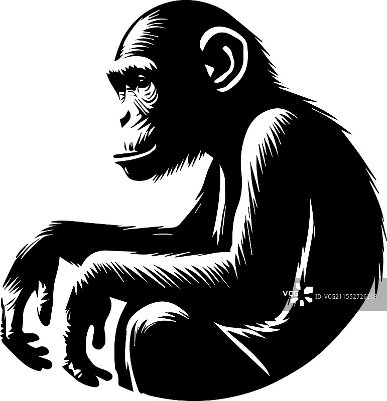 黑猩猩剪影 11图片素材