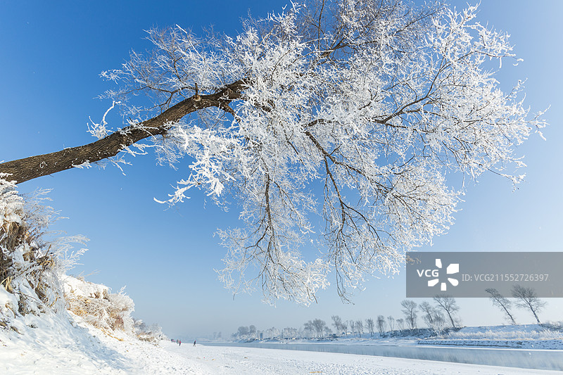 吉林市龙潭区雾凇岛自然景观雾凇盛景图片素材