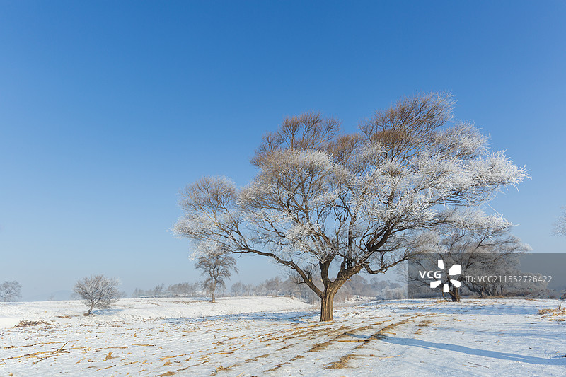 吉林市龙潭区雾凇岛自然景观雾凇盛景图片素材