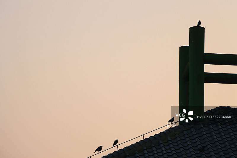 一直很安静图片素材