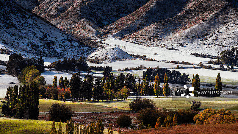 初雪后的原野图片素材