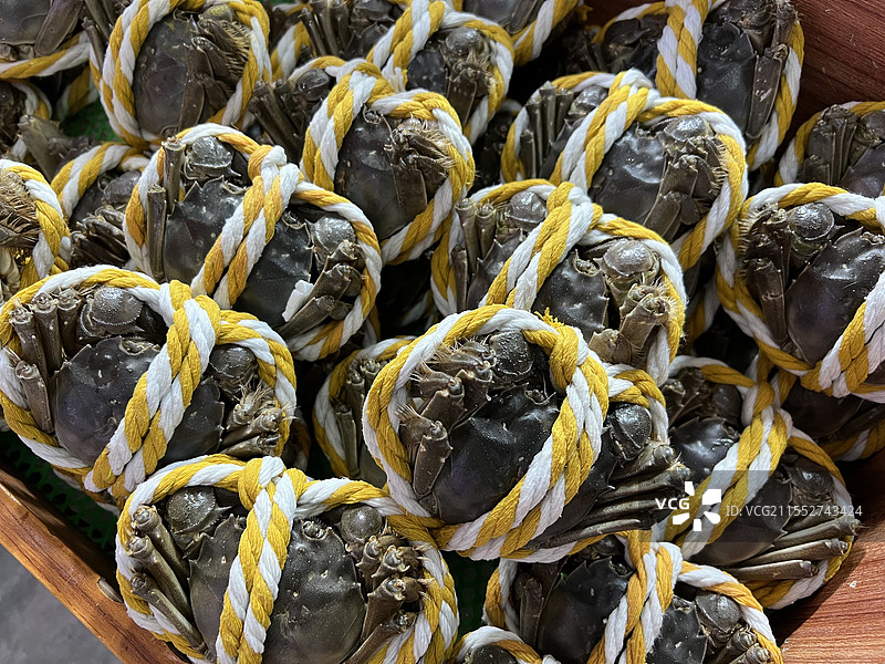 大闸蟹图片素材