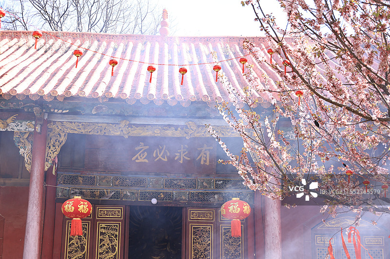 妙高寺风景区（百年杏花）图片素材