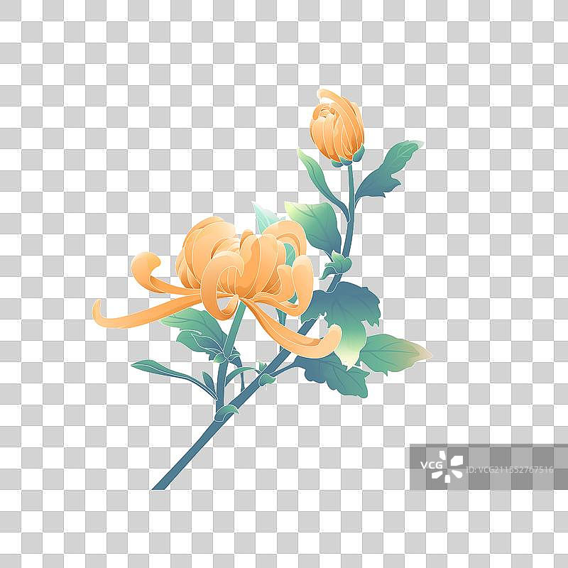 矢量国风黄色菊花图片素材