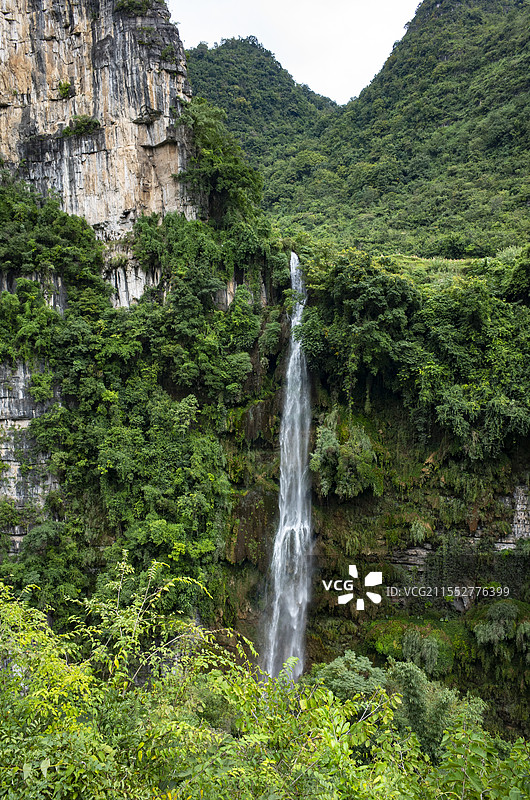 贵州马堡树瀑布，位于兴仁市西部与兴义、普安交界处的鲁础营回族乡境内，在国家风景名胜区马岭峡谷上游图片素材