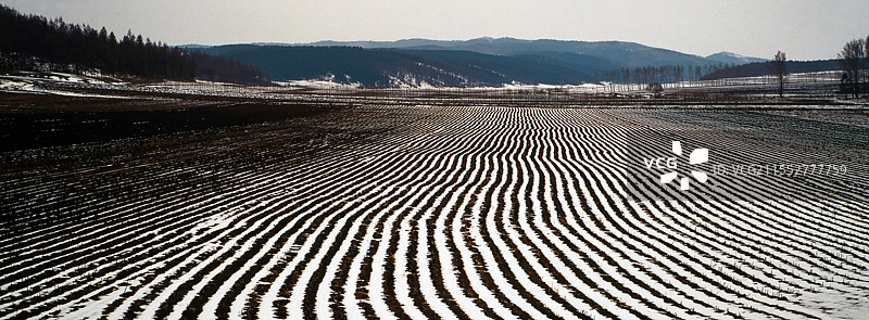 雪覆农田图片素材