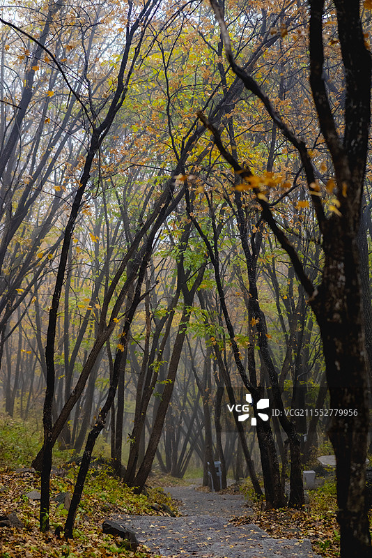 茅荆坝图片素材