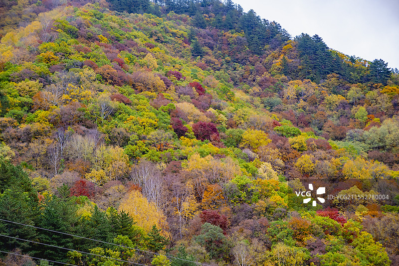 茅荆坝图片素材
