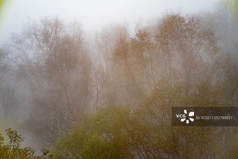 茅荆坝图片素材