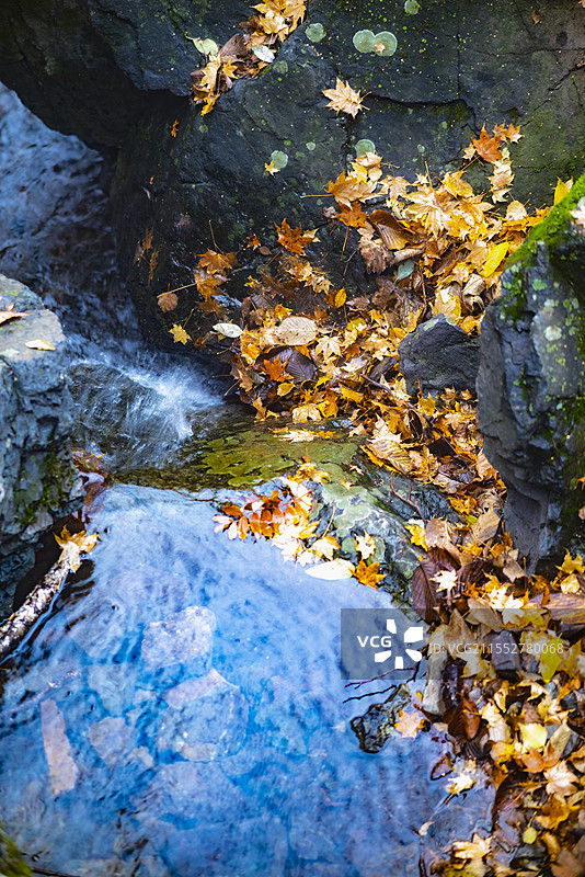 茅荆坝图片素材