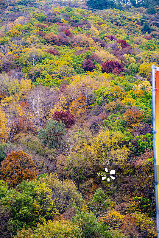 茅荆坝图片素材
