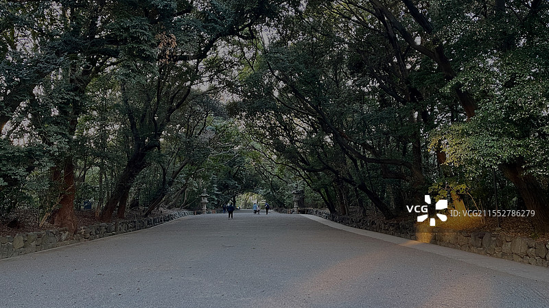 热田神宫鸟居与表参道图片素材