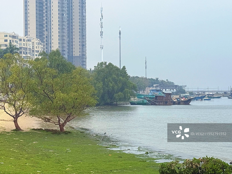 湛江滨海公园图片素材